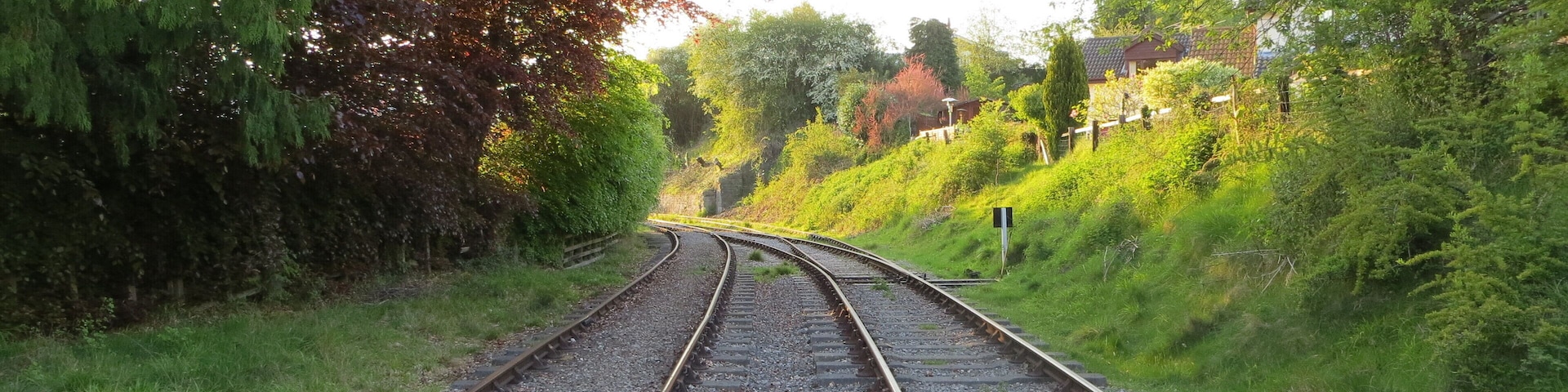 Tracks to Lydbrook and Cinderford - May 2012