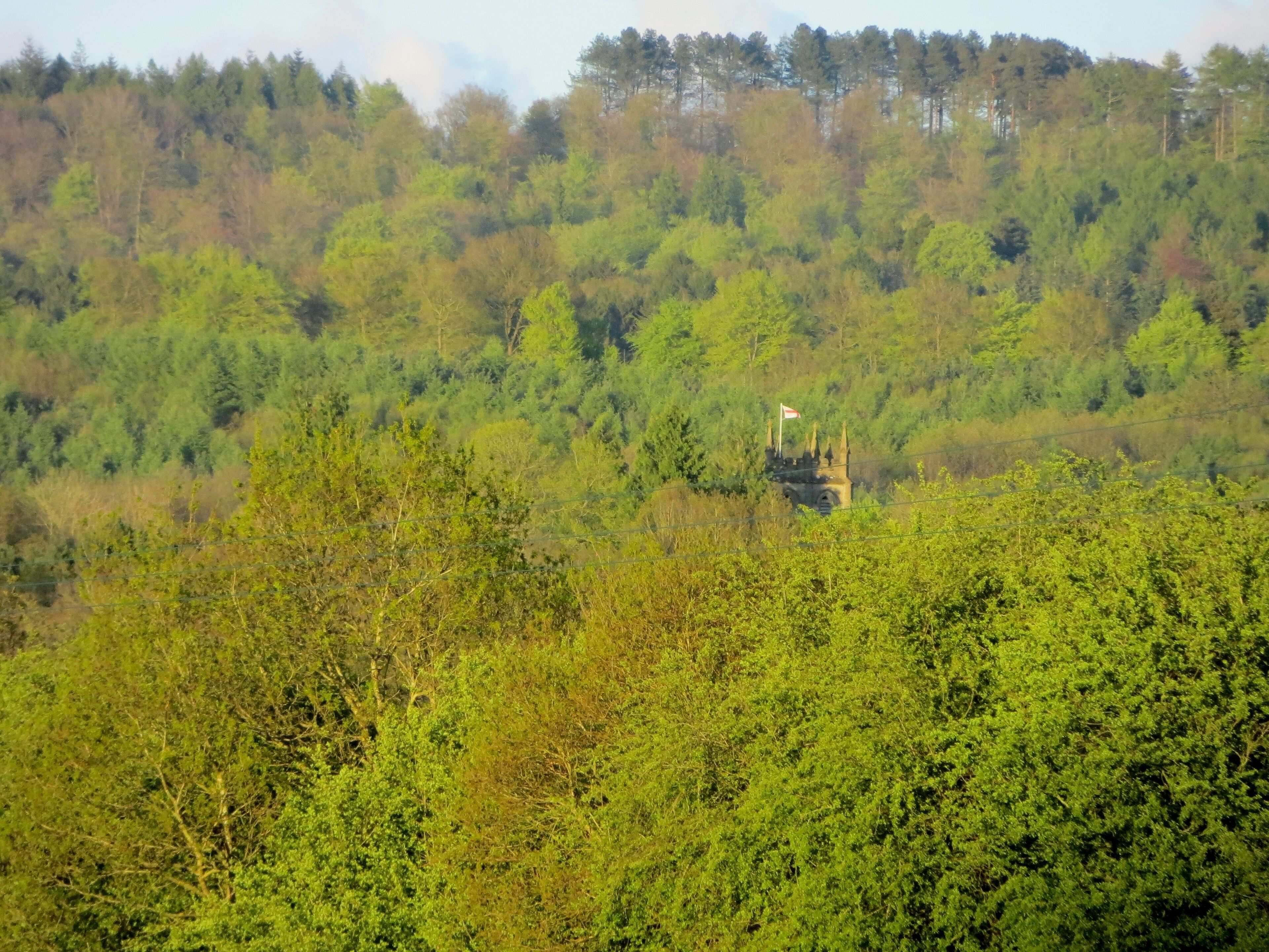 St Pauls in the trees - May 2012