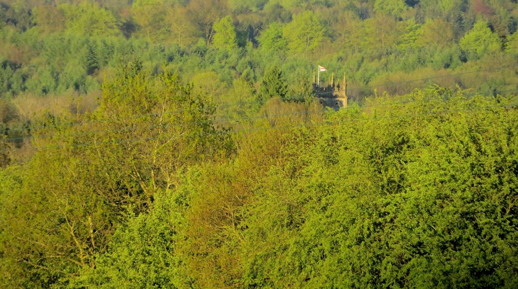 St Pauls in the trees - May 2012