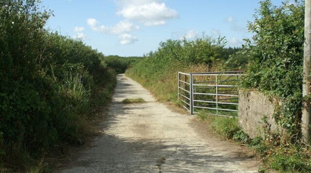 Farm road to Vealand