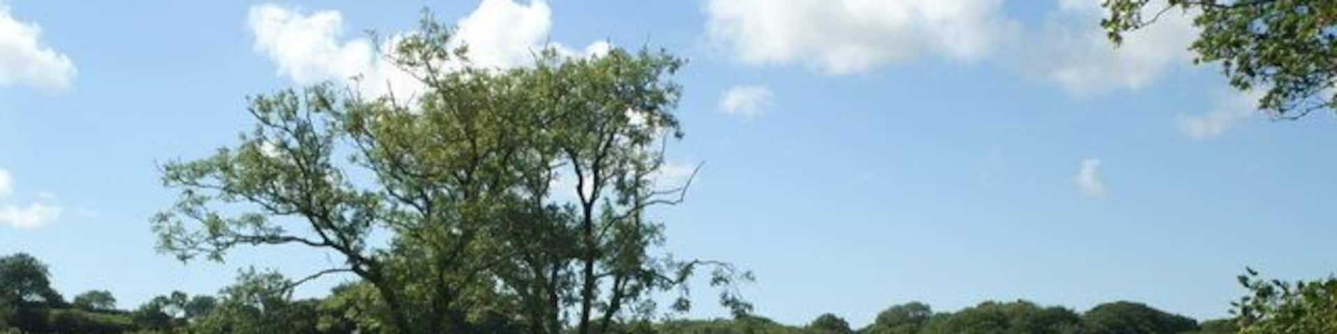 Burmsdon The road to Burmsdon from the Tamar at Kingford Mill