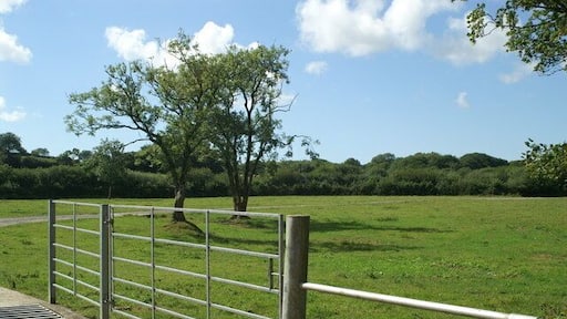 Burmsdon The road to Burmsdon from the Tamar at Kingford Mill