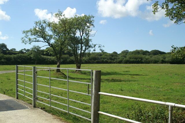A metal gate in a grassy field with a tree and a clear sky.