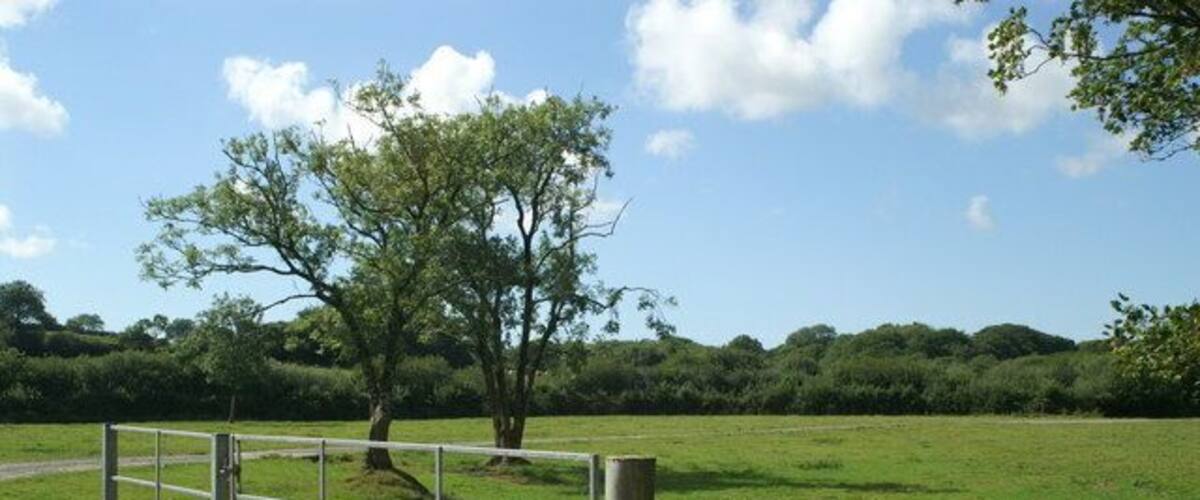 A metal gate in a grassy field with a tree and a clear sky.