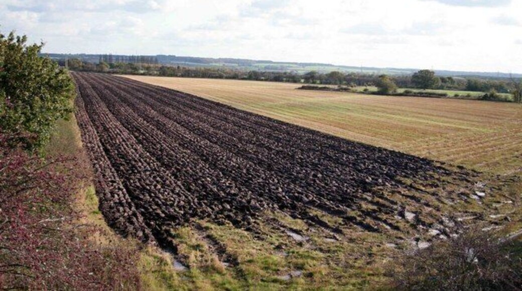 Ploughing has commenced Perhaps its too wet to plough today after the weekends rain.
