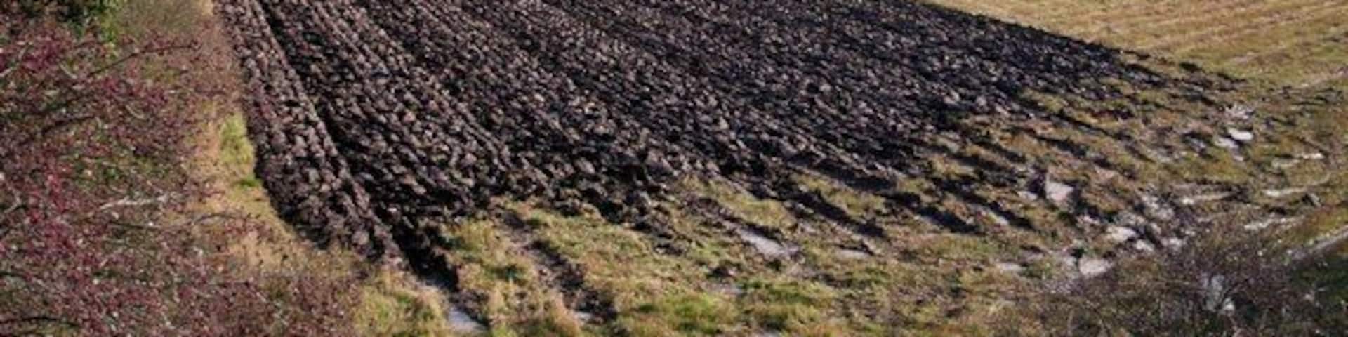 Ploughing has commenced Perhaps its too wet to plough today after the weekends rain.