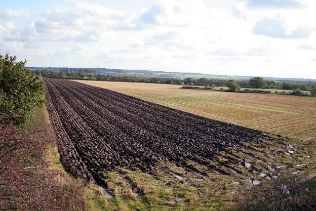 A plowed field with rows of crops, a distant tree line, and a cloudy sky.