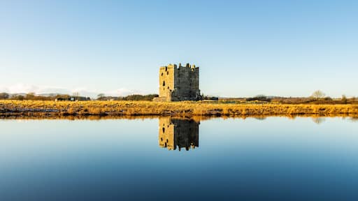 Una torre de piedra histórica se refleja en aguas tranquilas, rodeada por un campo de flores amarillas y un cielo azul despejado.