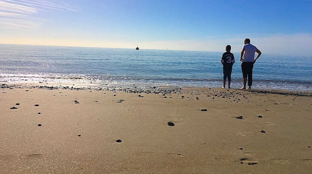 Pagham beach on a clear morning.
