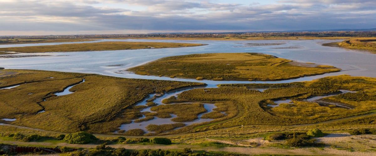 A coastal landscape with tidal flats, water channels, and distant shoreline.