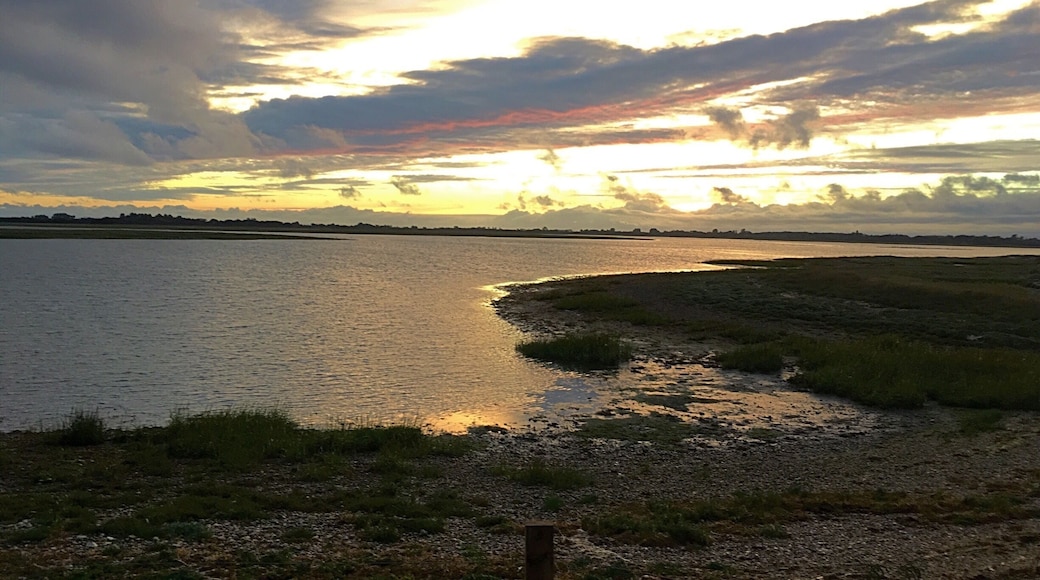 Evening walk along the Pagham estuary.
