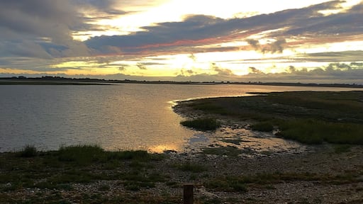 Evening walk along the Pagham estuary.