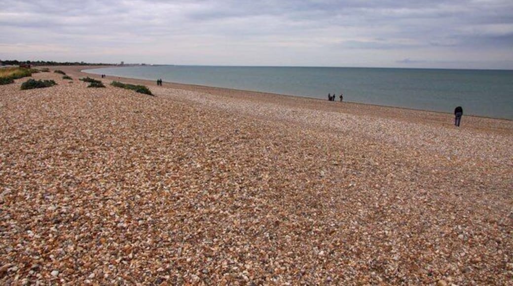 The beach at Pagham