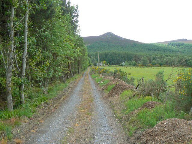 Not the route up Mither Tap This looks like a good access road to Mither Tap on Bennachie in the background, but it only leads to Nursery Cottage. The hill track is farther east.