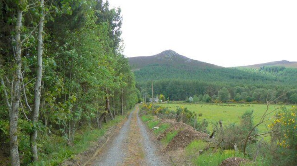 Not the route up Mither Tap This looks like a good access road to Mither Tap on Bennachie in the background, but it only leads to Nursery Cottage. The hill track is farther east.