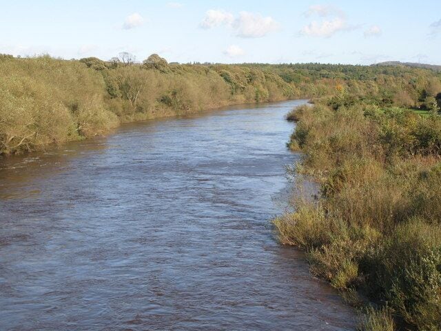 The River Tyne downstream from Ovingham bridge