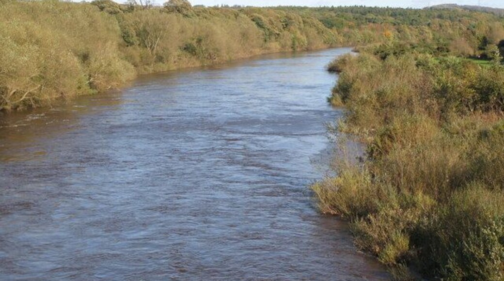 The River Tyne downstream from Ovingham bridge