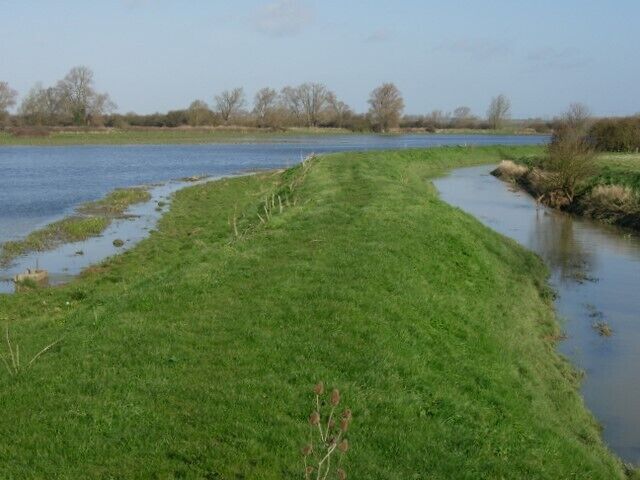 Mare Fen Local nature reserve managed by the local wildlife trust and Cambridgeshire County Council. The reserve is closed in winter (1st January-30th April) to prevent disturbance, but the wildlife on the flooded meadows can be watched from the road. It is grazed by cattle in the summer.
