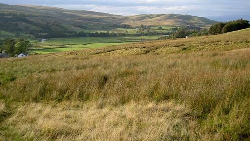 The view towards Ing Hill where I started today