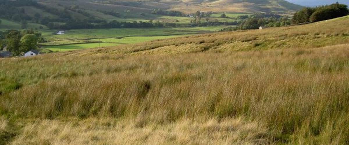 Rolling hills, a small house, and a distant valley.