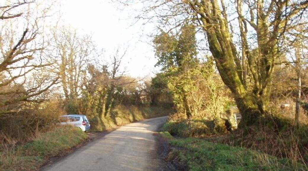 Road at Otterham Mill Typical Cornish lane with earth banks topped by hedges.