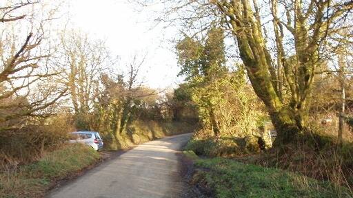 Road at Otterham Mill Typical Cornish lane with earth banks topped by hedges.