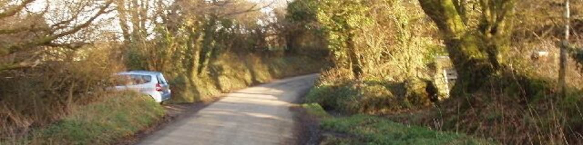 Road at Otterham Mill Typical Cornish lane with earth banks topped by hedges.