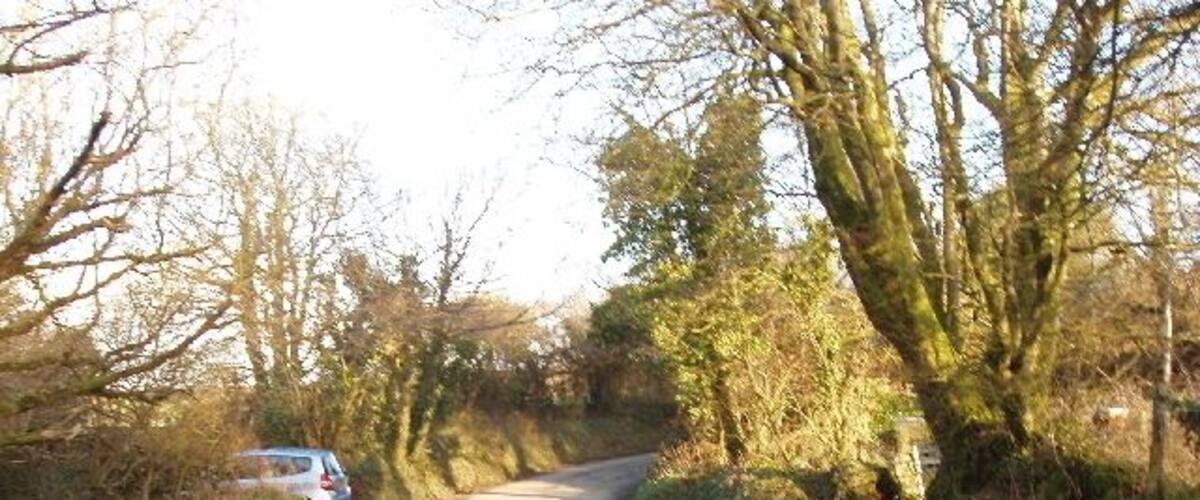 A narrow rural road flanked by trees and vegetation.