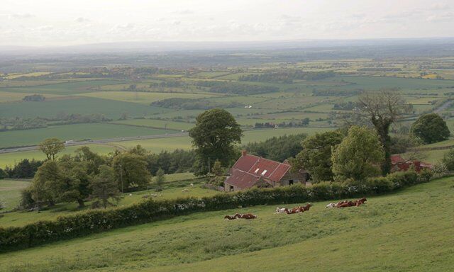 Chapel Wood Farm With views across the Cleveland Plain. The busy A19 can be seen crossing the photo beyond the trees.