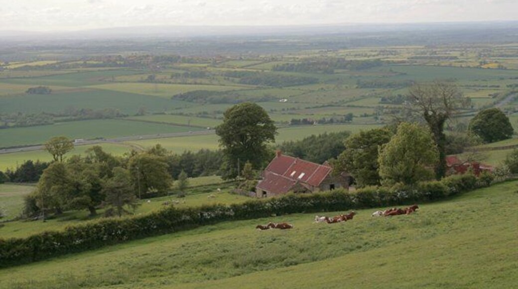 Chapel Wood Farm With views across the Cleveland Plain. The busy A19 can be seen crossing the photo beyond the trees.