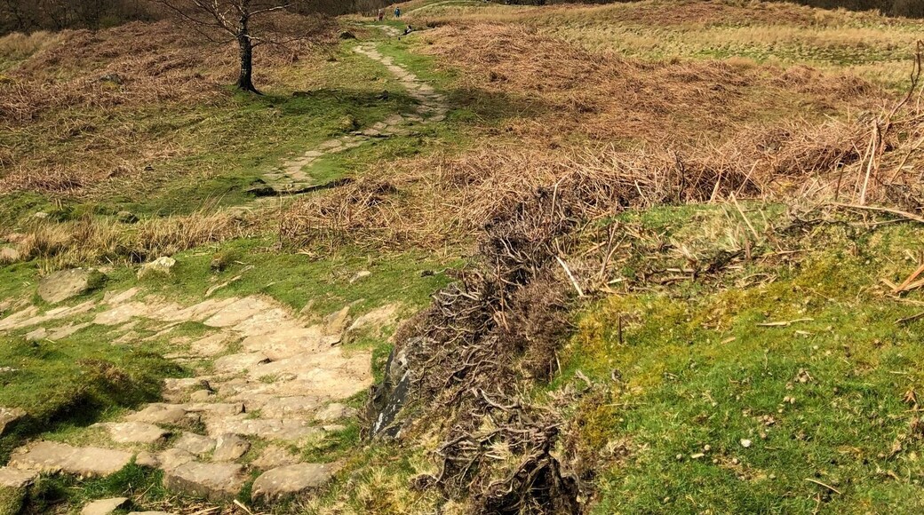 This is the view looking down onto is Osmotherly in North Yorkshire. The pin on the map is accurate. Itâs a wonderful decent into the valley through woods and reservoirs