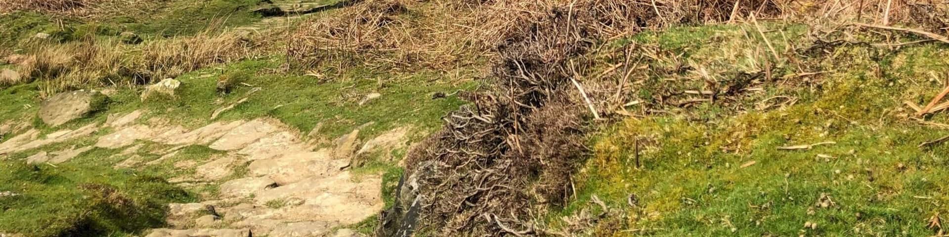 This is the view looking down onto is Osmotherly in North Yorkshire. The pin on the map is accurate. It’s a wonderful decent into the valley through woods and reservoirs