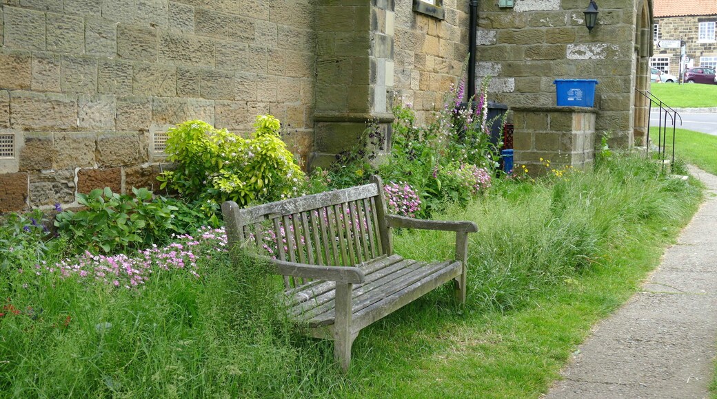 Osmotherley, North Yorkshire, England, 18.6.2015