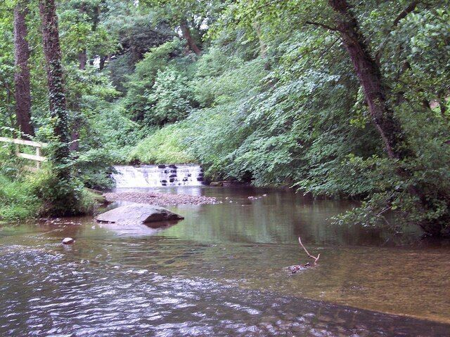 Um rio com uma pequena cascata, rodeado por vegetação verde exuberante.