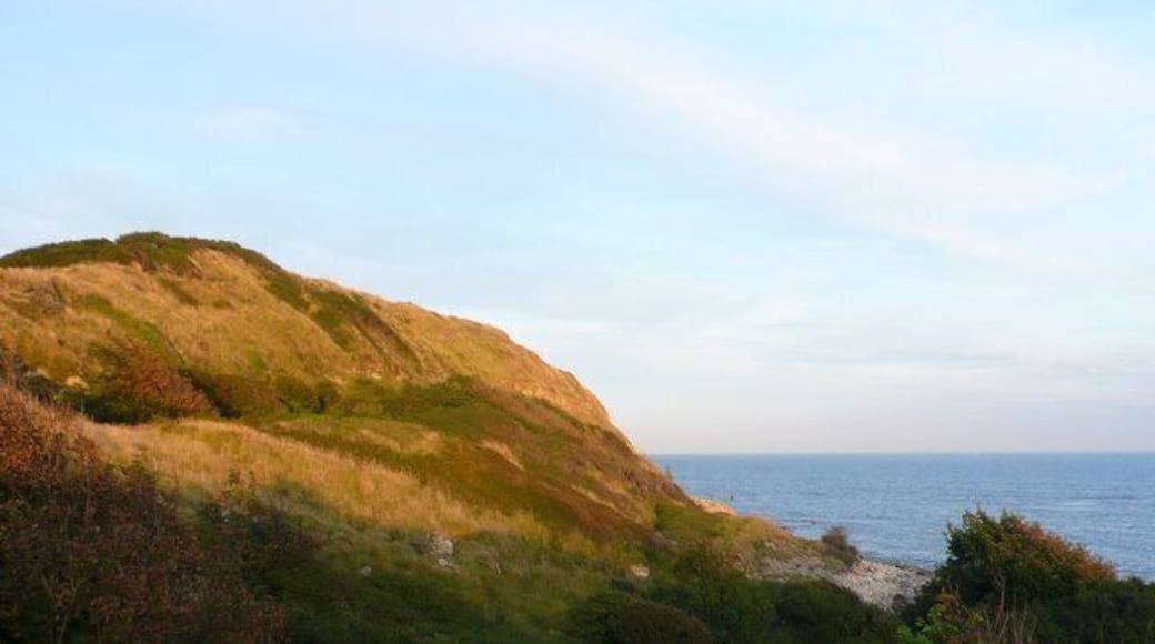Coast at Osmington Mills View SE along the coast from the mouth of Osmington Mill stream.