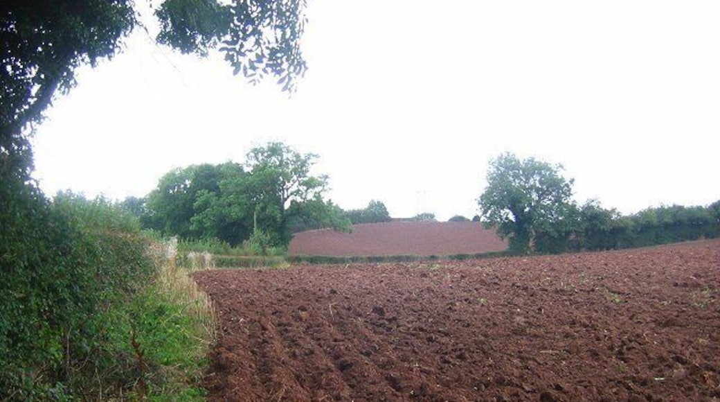 Ploughed fields, Tunnel Lane. Red soil freshly exposed alongside Tunnel Lane between Orleton and Ashton.
