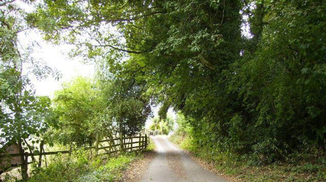 Road and track junction on the Mortimer Trail.