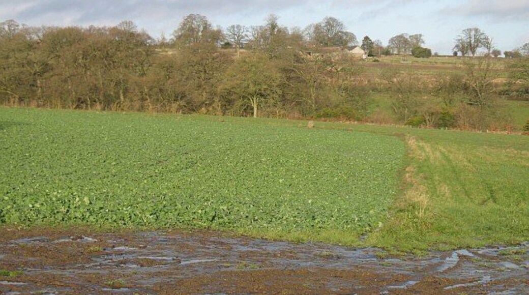 Across Aldon Gutter View across the deep Aldon Gutter towards Aldon Court. Limestone scenery akin to chalk downland. Dip slopes with deep valleys carrying sometimes seasonal watercourses. The mudstones and limestones date to the Silurian era.