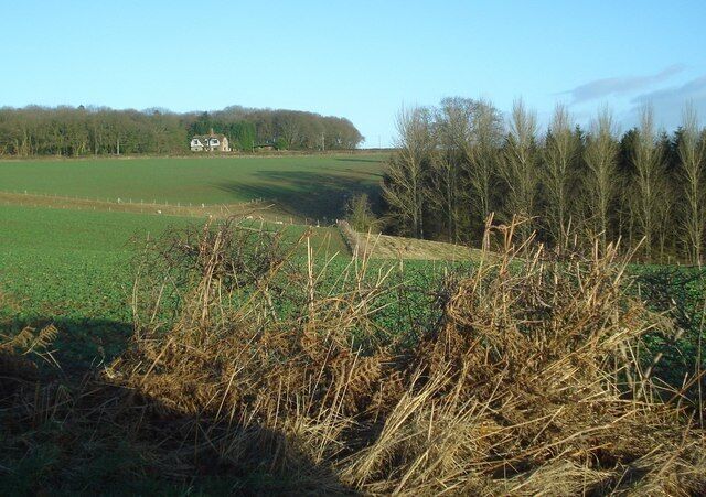 View to Doctors Coppice From the lane looking north-west to Doctors Coppice on the hill with the top end of Quarry Plantation to the right.