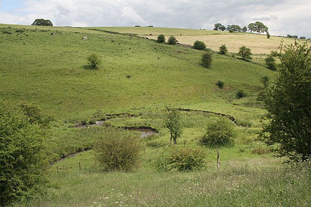 Meanders of the River Hamps Looking across to Butterton Moor
