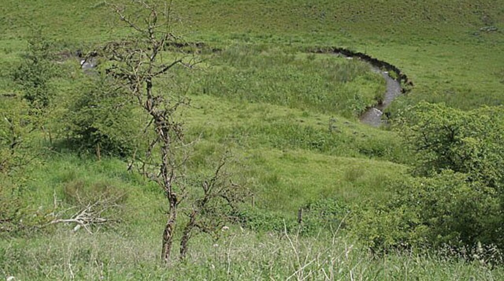 River Hamps above Onecote