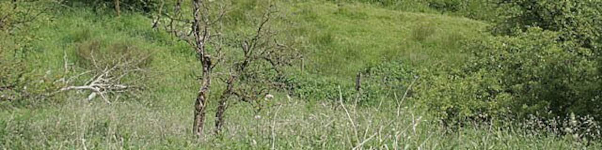 River Hamps above Onecote