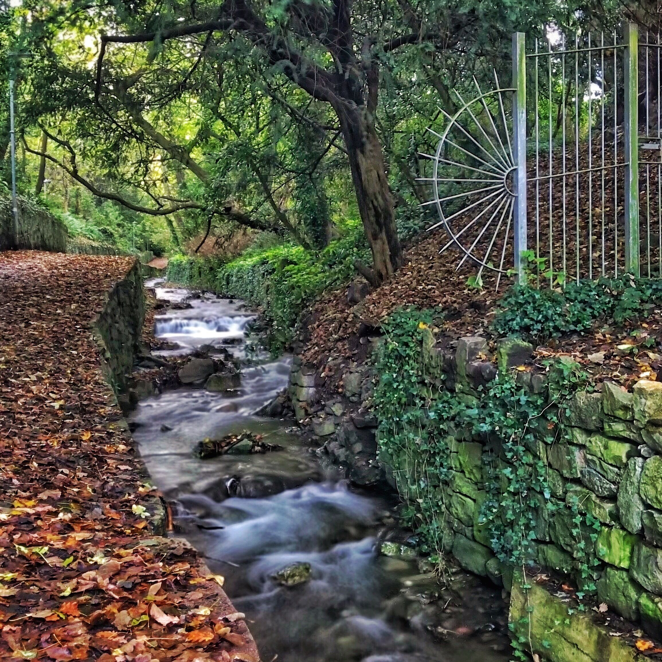 A stream flowing through a forested area with a stone wall and a metal fence.