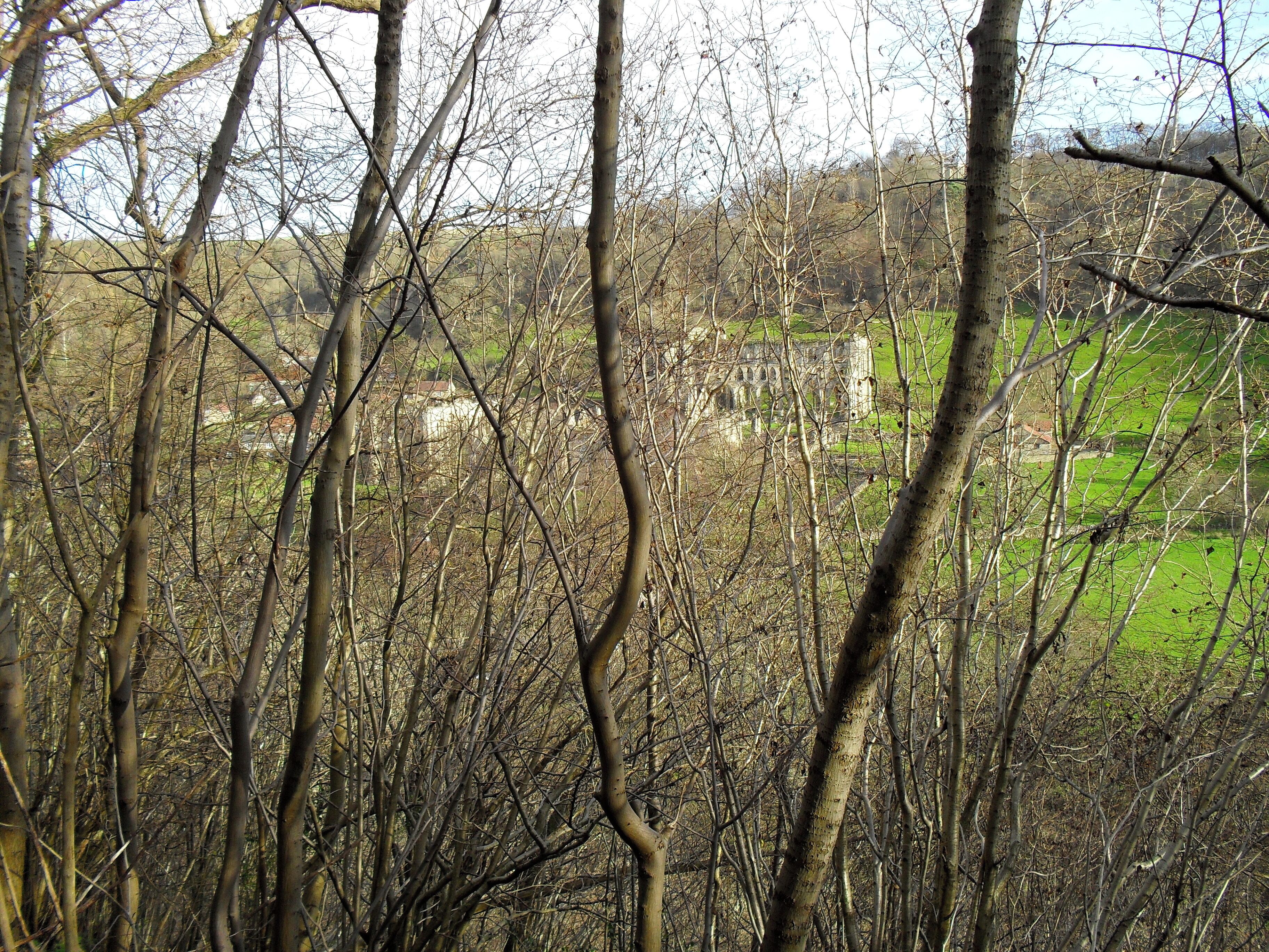 Rievaulx Abbey