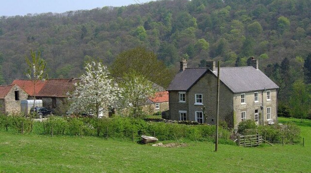 Tylas Farm. Tylas Farm in Ryedale with Greencliffe Hag Wood Behind.