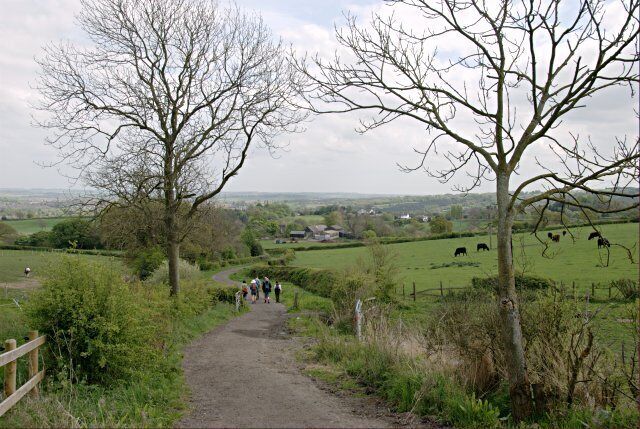 A rural path with leafless trees, a grassy field, and distant buildings.