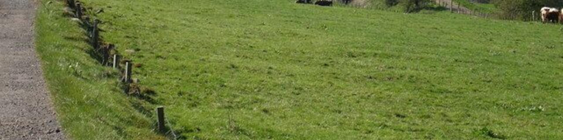 Crofthead Farm & Railway Bridge This view of the (disused) railway line shows how the coal from the nearby opencast workings were transported to consumers. The line here continued westwards to the main Ayr to Girvan line at Holehouse junction.