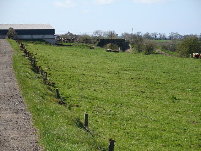 A rural landscape with a dirt path, green field, cows, and a building in the background.