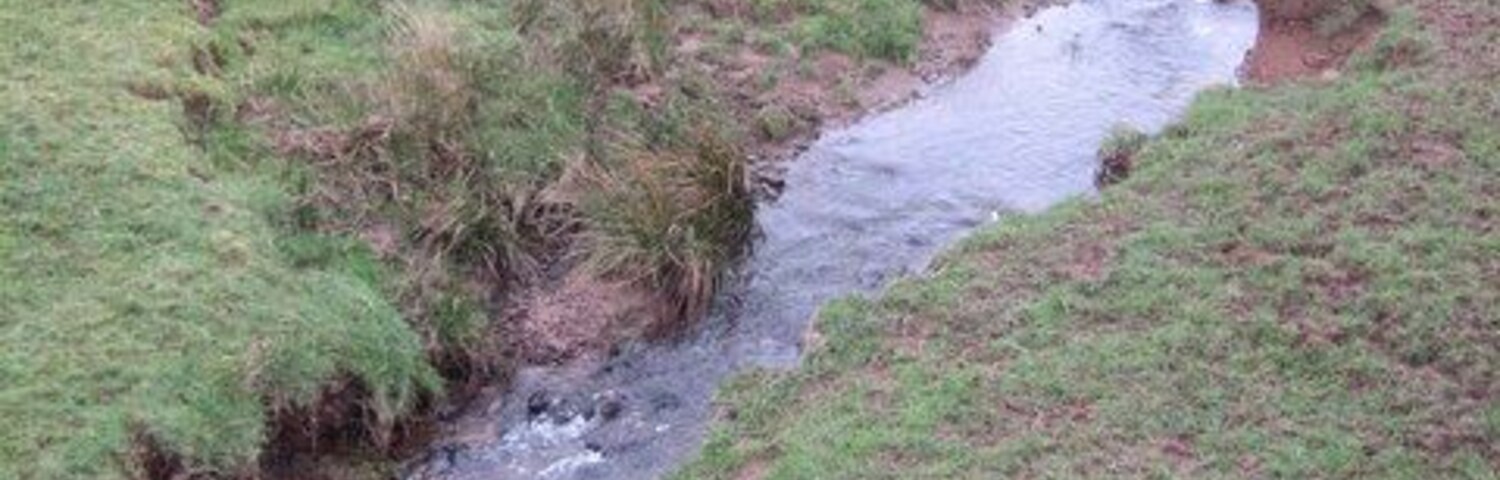 Um riacho estreito serpenteando por um campo gramado.