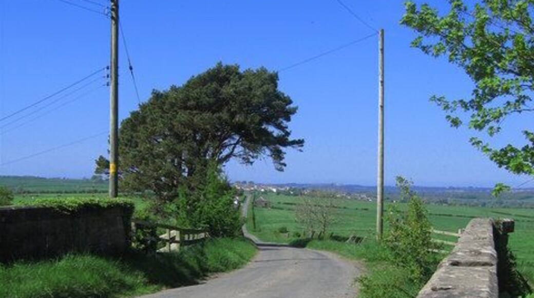 Road Bridge Crossing dismantled railway.